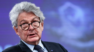 Thierry Breton: France's bulldozer at the EU crashes out