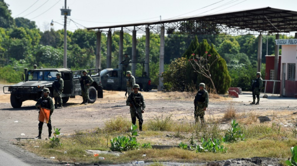 El aguacate mexicano, rehén de la violencia narco que arrecia en Michoacán