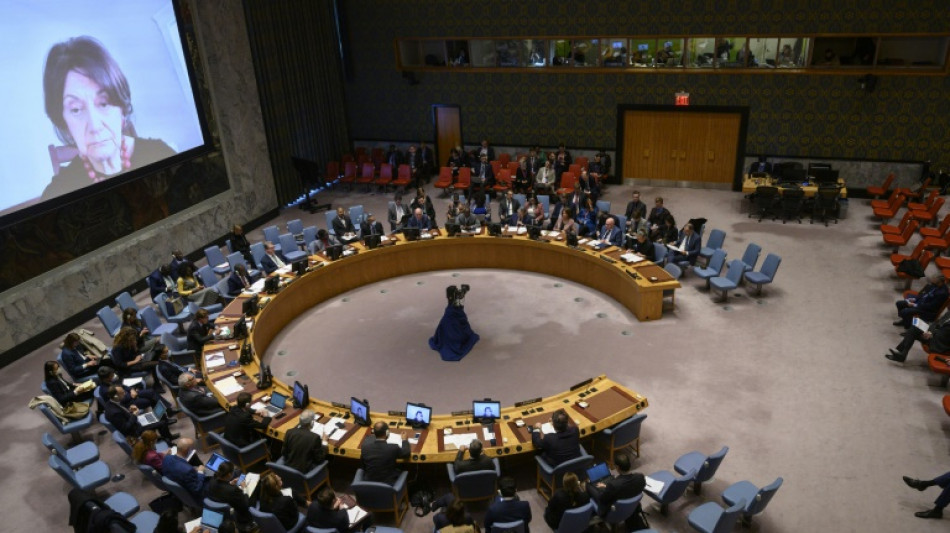 UN Security Council discusses Russia 'dirty bomb' claim