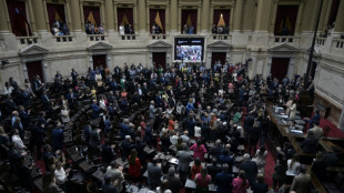 Congresso argentino discute leis complementares à vasta reforma de Milei