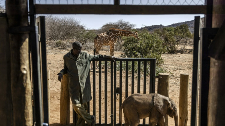 US backs fund for sustainable safaris in Africa