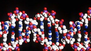 Trovate 113 nuove regioni di Dna per la pressione sanguigna