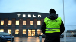 Swedish union widens strike for Tesla workers