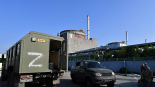 Drills, red wine: Ukrainians ready for leak at Russia-held plant