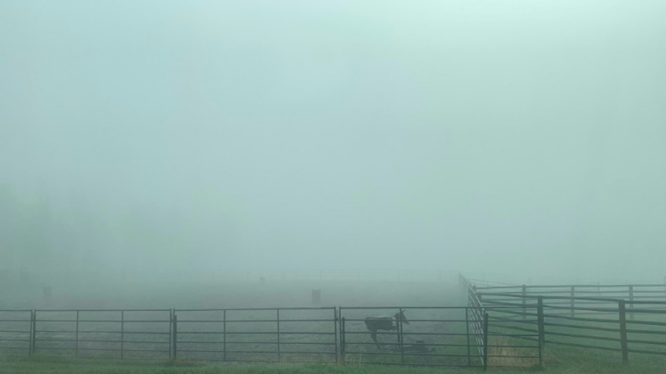 Ranchers fear for livestock as Canada wildfires rage