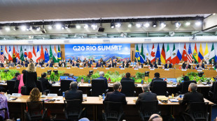 Stiell, 'da G20 messaggio chiaro, serve un successo a Cop29'