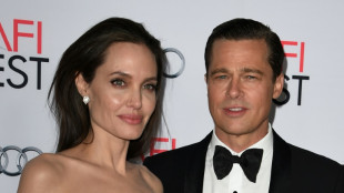 Angelina Jolie detalla supuestas agresiones de Brad Pitt en unos documentos judiciales