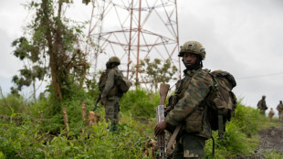 M23 rebel retreat a 'sham', DR Congo army says