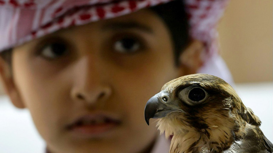 Falconers hope to draw World Cup fans to Qatar heritage