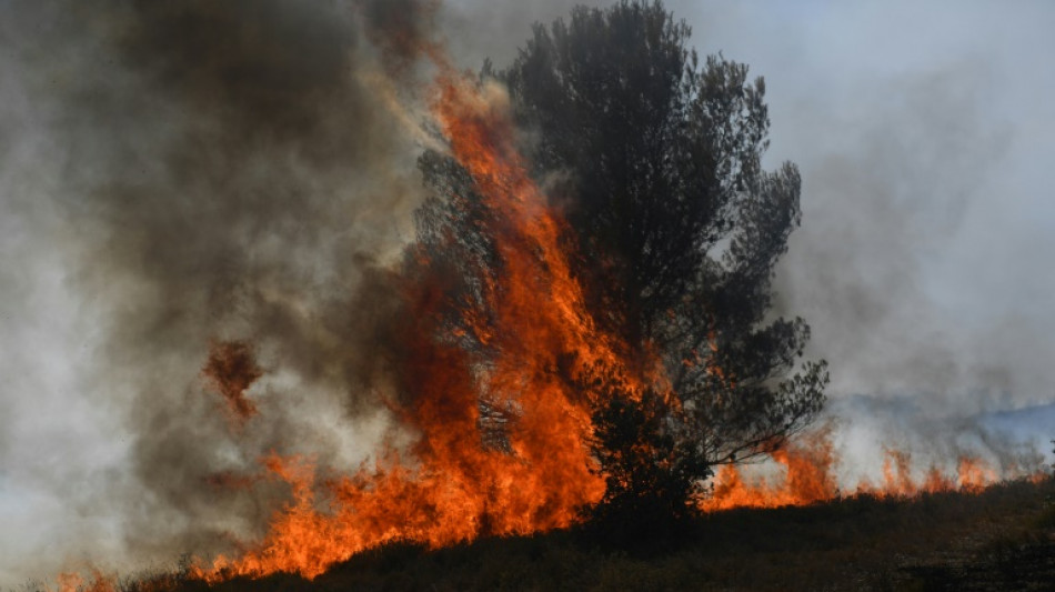 "Mobilisation" générale face à la canicule et aux incendies dans le sud de la France