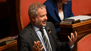 Borghi (Lega), via la bandiera Ue dagli edifici pubblici