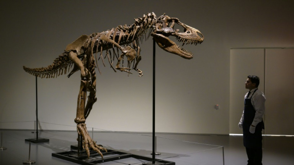 Gorgosaurus tipped to fetch $8 mn at New York auction 