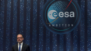 European Space Agency chief eyes tapping private industry partners