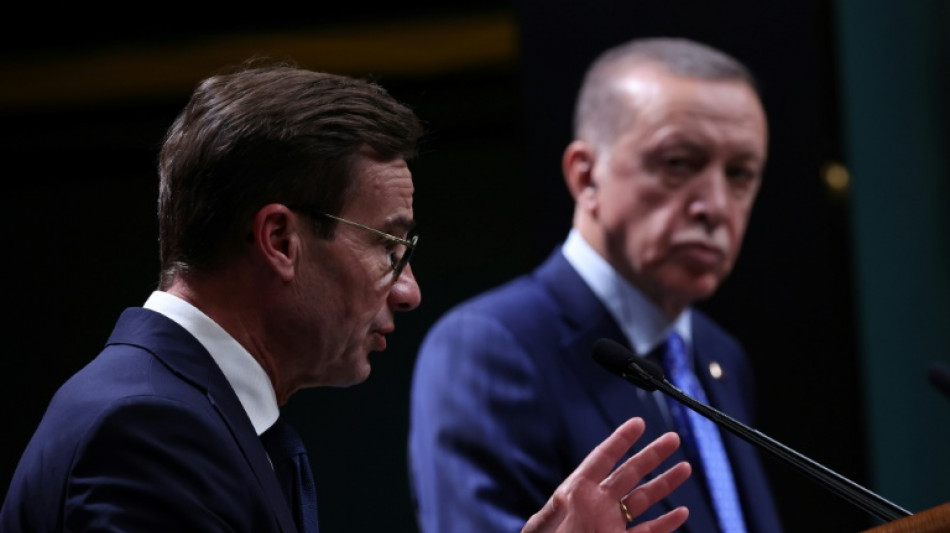 Turkey fumes at Sweden in NATO membership dispute