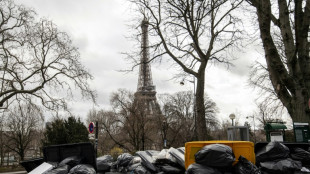 Last-gasp garbage strike seeks to thwart French pension reform