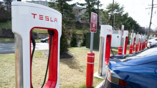 Strange bedfellows: auto rivals embrace Tesla EV chargers