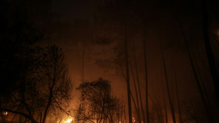 Feux de forêt en Gironde: plus de 9.000 hectares brûlés