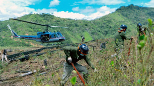 Peru erradica mais de 25 mil hectares de cultivos de coca que iriam para o narcotráfico