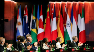 G20 breathes new life into UN climate talks