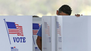 Why does US ballot counting take so long?