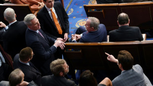 After angry scenes, divided US Republicans name House speaker