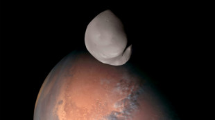 UAE probe offers unprecedented view of Mars moon 