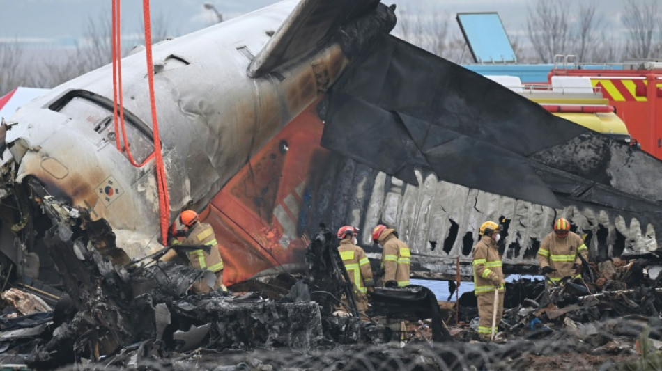 South Korea inspects B737-800 fleet after worst plane crash