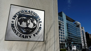 IMF approves revival of massive Pakistan loan programme