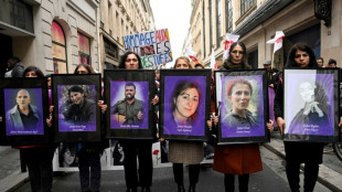 France has 'debt of justice' to slain Kurds: relative