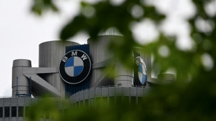 Bavarian village to decide future of key BMW factory