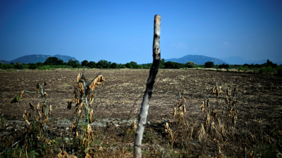 'They put a price on everything': extortion hits Mexican economy