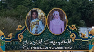 Brunei's polo-playing prince to marry commoner 