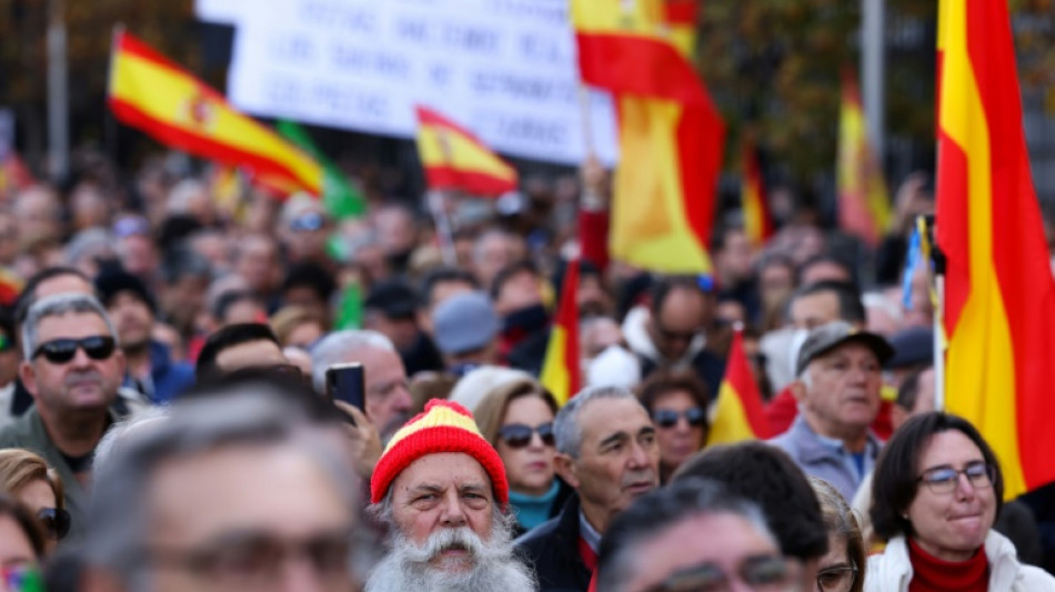 Far-right Vox leads mass protests against Spanish govt