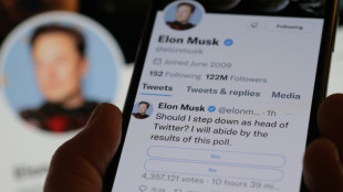 Musk expresses doubts on reliability of Twitter CEO poll