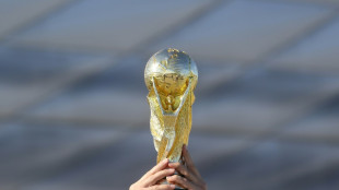 WM alle zwei Jahre: FIFA rückt offenbar von Plänen ab