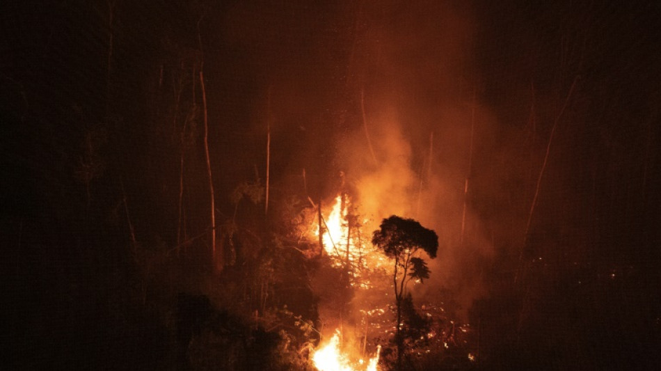 Brazil reports more Amazon fires so far this year than all of 2021