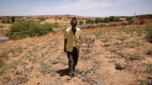 Crucial farm jobs dry up in drought-stricken Morocco