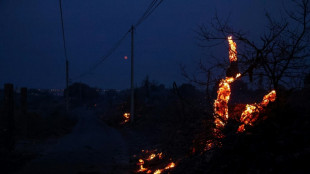 Hérault: 300 hectares brûlés dans un incendie, "des dizaines d'habitations évacuées"