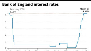 Bank of England freezes interest rate at 16-year high