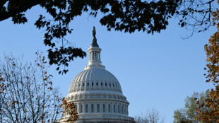 Republicans seize control of US House, Congress split: projections