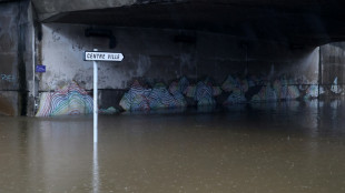 Cyclone Belal: à La Réunion, des rues désertes avant un long confinement