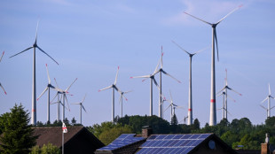 Renewable energy capacity additions to hit record: IEA