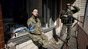 Clown and biochemist at fortress Kyiv's barricades