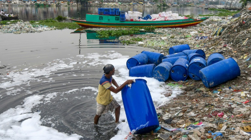 Global wildlife contaminated by 'forever chemicals'