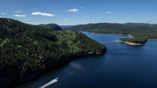 En el bosque boreal de Canadá, un hombre lucha por salvar al caribú