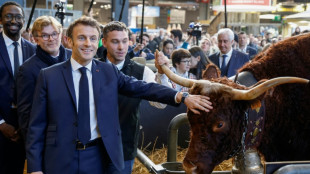 Macron warns EU-South America deal hinges on environment