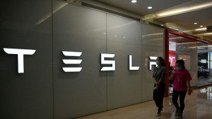 Tesla's Musk hails China's 'vitality' on Beijing visit