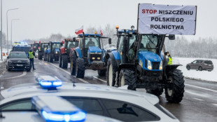 Polish farmers protest Ukraine imports and EU regulations