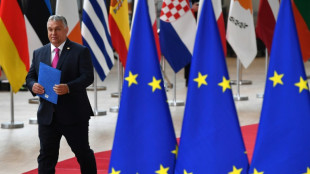 EU leaders plead with Orban to back Russian oil ban