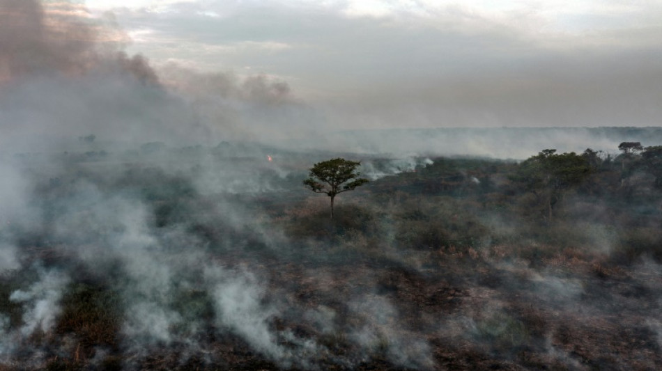 Las emisiones de CO2 de la Amazonía se dispararon durante el gobierno de Bolsonaro, según un estudio